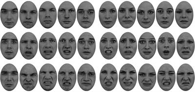 Do Subliminal Fearful Facial Expressions Capture Attention?